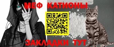 прущие грибы Заводоуковск