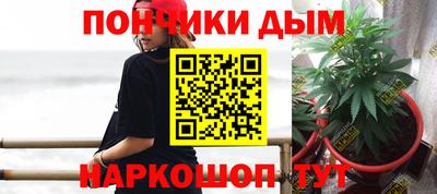 прущие грибы Заводоуковск
