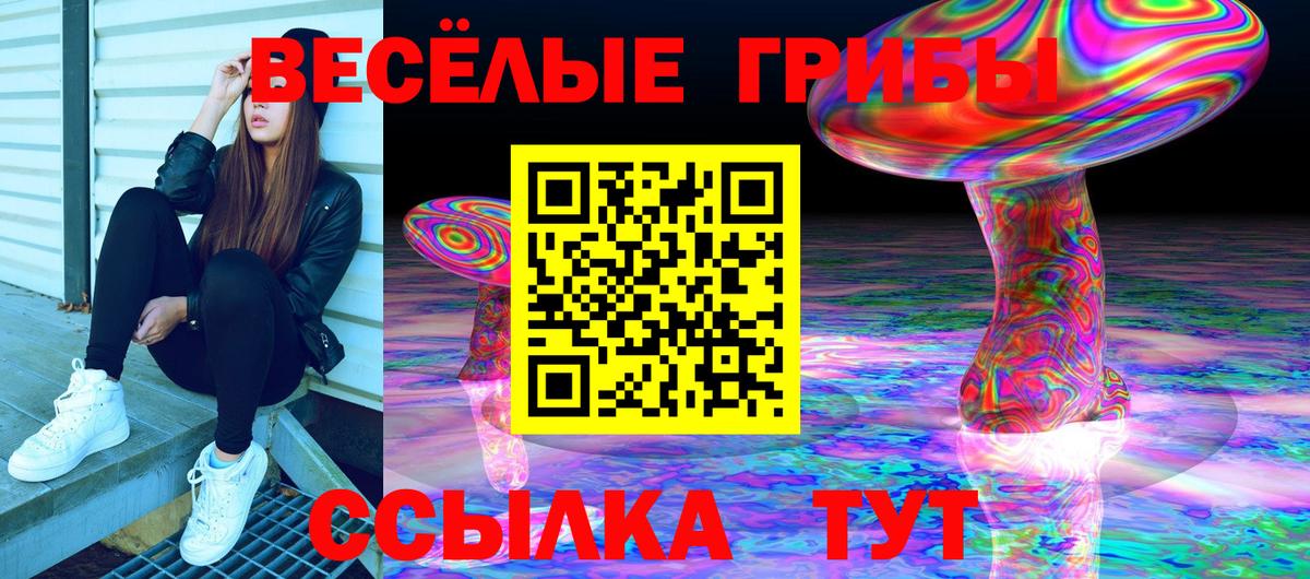 Галлюциногенные грибы Psilocybine cubensis Елизово